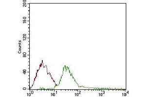 Flow cytometric analysis of Jurkat cells using DIS3L2 mouse mAb (green) and negative control (red). (DIS3L2 antibody  (AA 27-250))