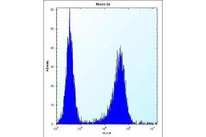 Flow Cytometry (FACS) image for anti-Lysophospholipase Protein 1 (LYPL1) antibody (ABIN2997640) (LYPL1 antibody)