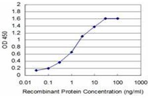 Detection limit for recombinant GST tagged DHFR is approximately 0. (Dihydrofolate Reductase antibody  (AA 88-187))