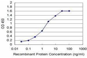 Detection limit for recombinant GST tagged DHFR is approximately 0.