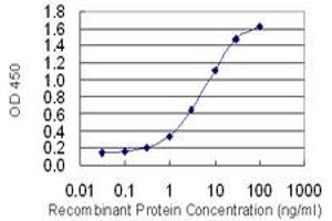 Detection limit for recombinant GST tagged HOXD1 is 0. (HOXD1 antibody  (AA 151-240))