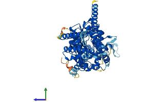 AlphaFold protein structure predicition of Mouse Recombinant Has3 Protein, UniprotID O08650