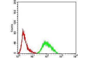 Flow cytometric analysis of HeLa cells using PRDM4 mouse mAb (green) and negative control (red). (PRDM4 antibody  (AA 476-575))