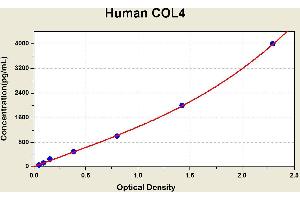 Diagramm of the ELISA kit to detect Human COL4with the optical density on the x-axis and the concentration on the y-axis.