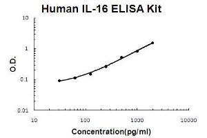 Human IL-16 PicoKine ELISA Kit standard curve (IL16 ELISA Kit)