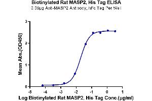 ELISA image for Mannan-Binding Lectin serine Peptidase 2 (MASP2) (AA 287-685) protein (His tag,Biotin) (ABIN7275295)