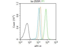 Molt-4 cells were fixed with 4% PFA for 10min at room temperature, permeabilized with 90% ice-cold methanol for 20 min at -20℃, and incubated in 5% BSA blocking buffer for 30 min at room temperature. (PKC beta antibody  (pThr500))