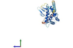 AlphaFold protein structure predicition of Human Recombinant MTX3 Protein, UniprotID Q5HYI7