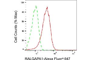 anti-Ral GTPase Activating Protein, alpha Subunit 1 (Catalytic) (RALGAPA1) antibody
