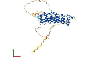 AlphaFold protein structure predicition of Mouse Recombinant Nfkbib Protein, UniprotID Q60778