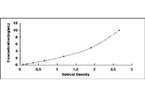 Typical standard curve (CTAG1B ELISA Kit)