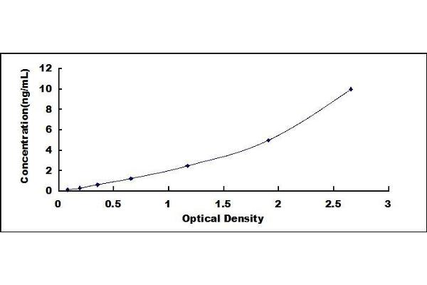 CTAG1B ELISA Kit