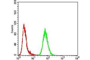 Flow cytometric analysis of MCF-7 cells using TFAP2A mouse mAb (green) and negative control (red).