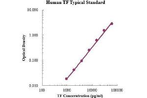 ELISA image for Transferrin (TF) ELISA Kit (ABIN3198488) (Transferrin ELISA Kit)