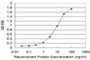 Detection limit for recombinant GST tagged LIPF is approximately 0. (LIPF antibody  (AA 299-398))