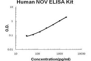 Human NOV/CCN3 PicoKine ELISA Kit standard curve (NOV ELISA Kit)