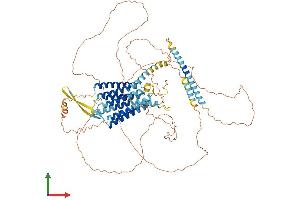 Protein Structure (PS) image for G Protein-Coupled Receptor 156 (GPR156) (AA 1-798) protein (His tag) (ABIN7558037)