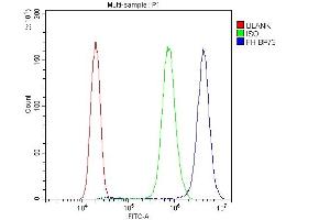 Flow Cytometry analysis of PC-3 cells using anti-FH antibody (ABIN5518986).