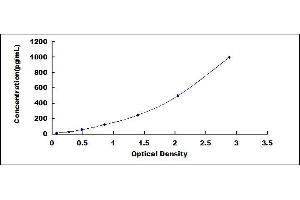 Typical standard curve (IL-6 ELISA Kit)