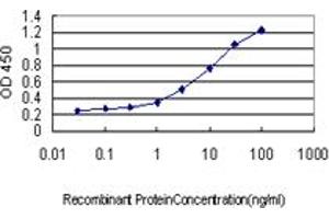 ELISA image for anti-Protein Kinase, AMP-Activated, beta 1 Non-Catalytic Subunit (PRKAB1) (AA 1-270) antibody (ABIN562363)