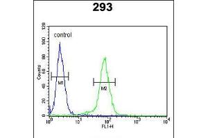 Flow cytometric analysis of 293 cells (right histogram) compared to a negative control cell (left histogram). (CLDN8 antibody  (AA 140-166))