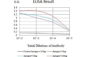 Black line: Control Antigen (100 ng),Purple line: Antigen (10 ng), Blue line: Antigen (50 ng), Red line:Antigen (100 ng) (ATG4B antibody  (AA 1-221))