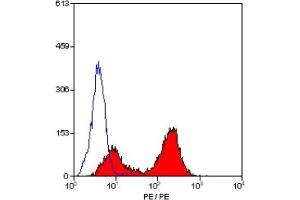 Staining of mouse spleen cells with RAT ANTI MOUSE CD19:RP (CD19 antibody  (PE))