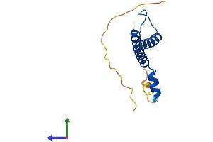 Protein Structure (PS) image for Nescient Helix Loop Helix 1 (NHLH1) (AA 1-133) protein (His tag) (ABIN7556868)