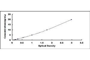 Typical standard curve (BASP1 ELISA Kit)