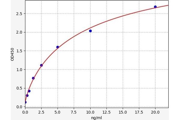 Progesterone Receptor ELISA Kit