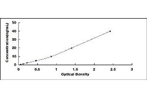 Typical standard curve (CSN2 ELISA Kit)