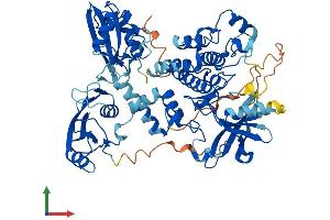 AlphaFold protein structure predicition of Human Recombinant ZAP70 Protein, UniprotID P43403 (ZAP70 Protein (AA 1-619) (His tag))
