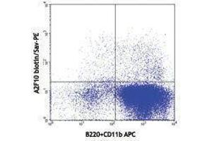 Flow Cytometry (FACS) image for anti-Fms-Related tyrosine Kinase 3 (FLT3) antibody (Biotin) (ABIN2660811)