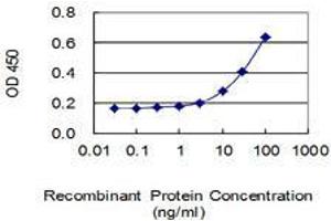 Detection limit for recombinant GST tagged SPATA19 is 1 ng/ml as a capture antibody. (SPATA19 antibody  (AA 1-167))