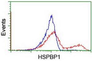 Flow Cytometry (FACS) image for anti-HSPA Binding Protein, Cytoplasmic Cochaperone 1 (HSPBP1) antibody (ABIN1498759) (HSPBP1 antibody)