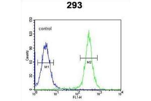 Flow Cytometry (FACS) image for anti-Gasdermin A (GSDMA) antibody (ABIN3002158) (Gasdermin A antibody)