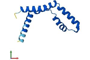 AlphaFold protein structure predicition of Human Recombinant ENY2 Protein, UniprotID Q9NPA8 (ENY2 Protein (AA 1-101) (His tag))