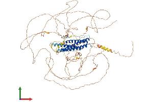 AlphaFold protein structure predicition of Mouse Recombinant Meioc Protein, UniprotID A2AG06