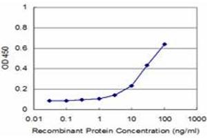Detection limit for recombinant GST tagged TOPORS is approximately 3ng/ml as a capture antibody. (TOPORS antibody  (AA 98-205))