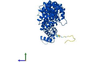 AlphaFold protein structure predicition of Mouse Recombinant Armc6 Protein, UniprotID Q8BNU0 (ARMC6 Protein (AA 1-468) (His tag))