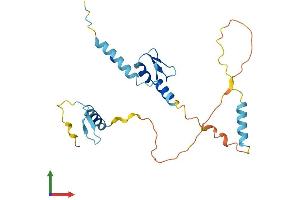 AlphaFold protein structure predicition of Human Recombinant SCNM1 Protein, UniprotID Q9BWG6 (SCNM1 Protein (AA 1-230) (His tag))