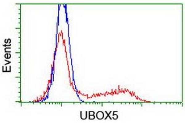 UBOX5 antibody  (AA 1-130, AA 419-487)