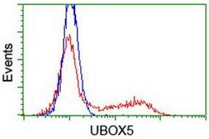 Image no. 2 for anti-U-Box Domain Containing 5 (UBOX5) (AA 1-130), (AA 419-487) antibody (ABIN1490572) (UBOX5 antibody  (AA 1-130, AA 419-487))