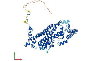 AlphaFold protein structure predicition of Mouse Recombinant Tdo2 Protein, UniprotID P48776 (TDO2 Protein (AA 1-406) (His tag))