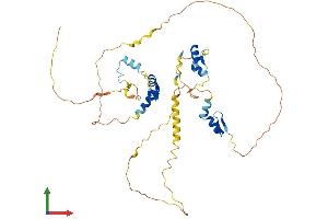 AlphaFold protein structure predicition of Human Recombinant ZNF385C Protein, UniprotID Q66K41