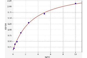 CREB1 ELISA Kit