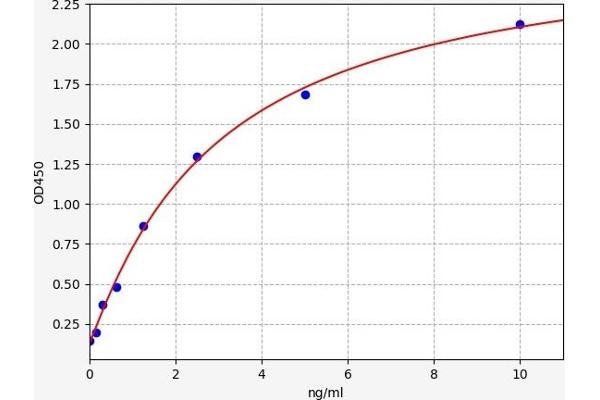 CREB1 ELISA Kit