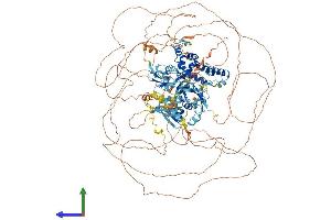 AlphaFold protein structure predicition of Mouse Recombinant Rgs12 Protein, UniprotID Q8CGE9 (RGS12 Protein (AA 1-1381) (His tag))