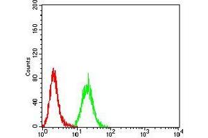 Flow cytometric analysis of Hela cells using MUC5AC mouse mAb (green) and negative control (red). (MUC5AC antibody  (AA 5528-5627))