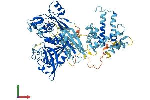 AlphaFold protein structure predicition of Human Recombinant CAPN13 Protein, UniprotID Q6MZZ7 (CAPN13 Protein (AA 1-669) (His tag))